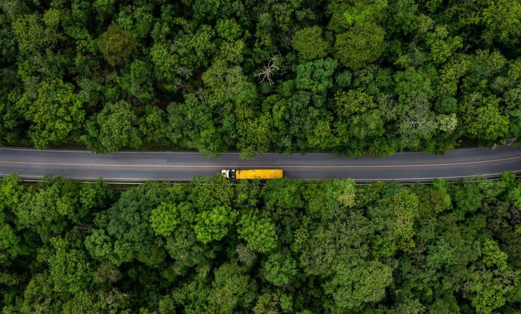 A yellow truck driving through a dense green forest on a paved road.